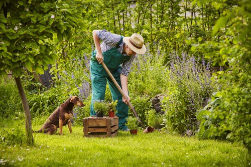 Seasonal lawn care activities in Bermondsey