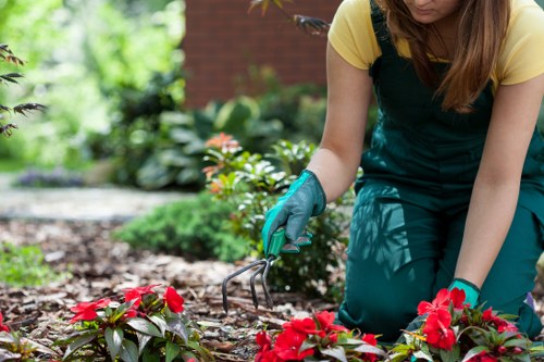 Volunteers working in a Bermondsey community garden with recycling bins