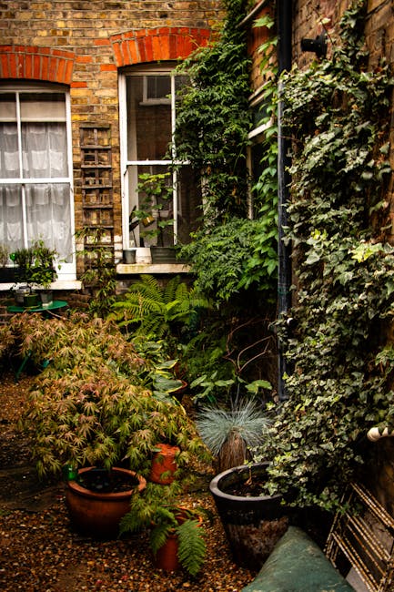 A small courtyard garden situated between a brick and wooden building, featuring a variety of lush green plants, including ferns, ivy, and flowering shrubs. The garden bed is filled with dark, moist s